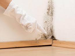 Best Commercial Mold Inspection  in South Pekin, IL